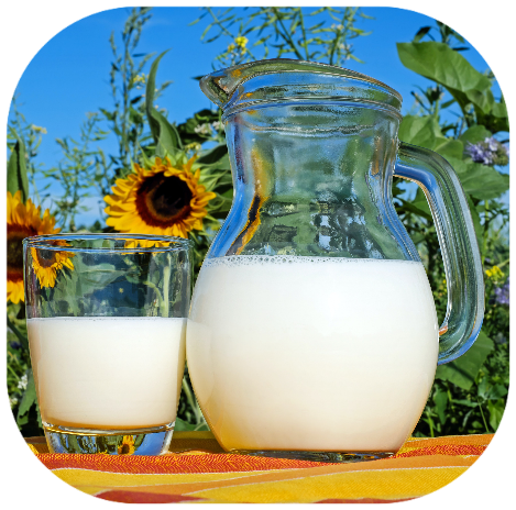 SKNULFV Stiftung: Engagement für Sport, Kultur, Umwelt, Landwirtschaft und Verständigung