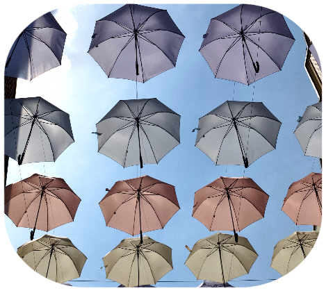 SKNULFV Stiftung: Engagement für Sport, Kultur, Kunst, Umwelt, Landwirtschaft, Familien und Völkerverständigung